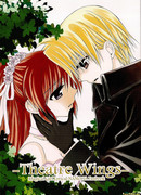 Театральные крылья