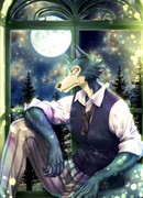 Бистарс омаке к томам DVD