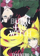 Сжечь ведьму