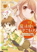 Маг-хиккикомори?