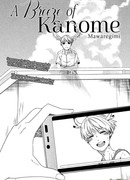 Бриз Каномэ