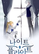 Ночной полет