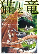 Кот и дракон