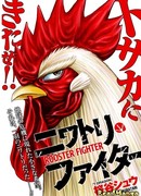 Боевой петух