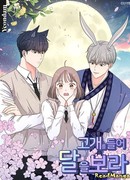 Глядя на луну