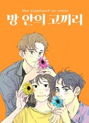 Слон в комнате