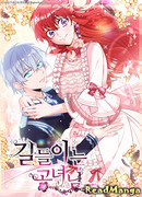 Укрощающая леди