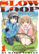 Медленная петля