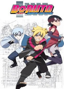 Боруто: Спецвыпуск