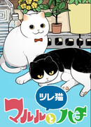 Маруру и Хачи