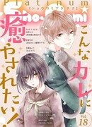 Бродячая кошка и солнечный лучик