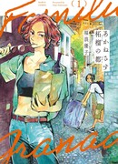 Город Тёмно-Красных Гранатов