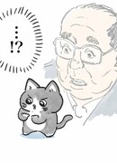 Старик, перевоплотившийся в кота