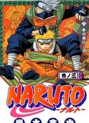 Всё ради мечты!!!