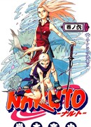 Решение Сакуры