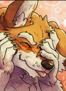 Моя обычная жизнь