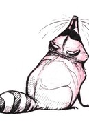 Комиксы про енота