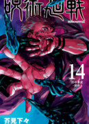 Инцидент в Сибуя: Суждение