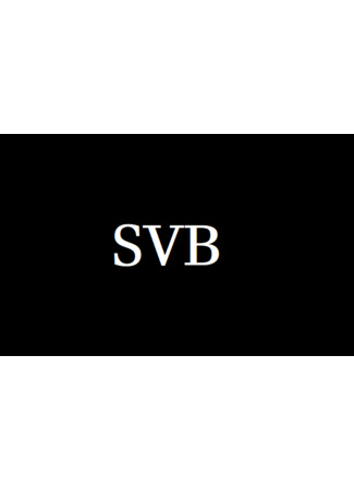 Переводчик SVB 02.05.24