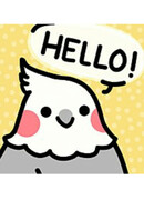 Птичьи дела