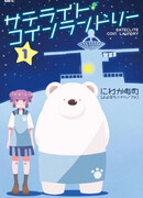 Спутниковая монетная прачечная