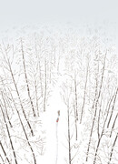 Заячьи следы