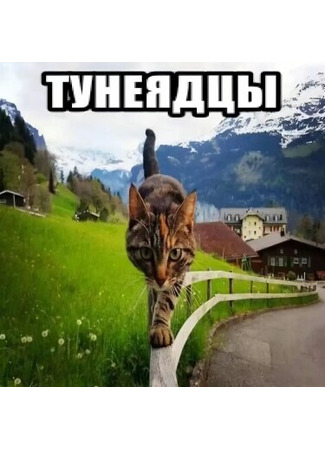 Переводчик Тунеядцы 05.07.25