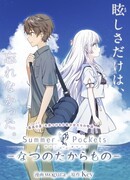 Летние карманы — Летнее сокровище