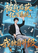 Мне дали систему в миллиард долларов, и я провёл модернизацию в одиночку