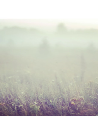 Переводчик Регина Сальве 10.10.25