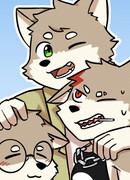 Братья Волки