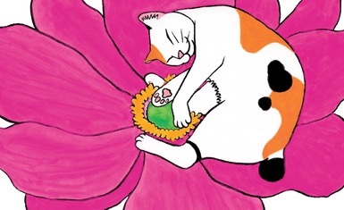 Вышел однотомник "Кот-с-коготок"