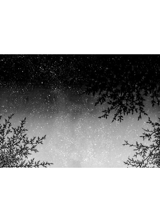 Переводчик Бззап 27.11.25